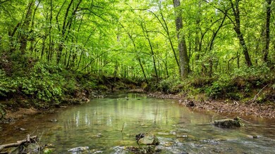 0 Shawmut Rd, Murfreesboro, AR 71958 - photo 2