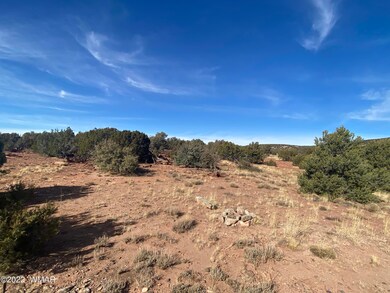 1E4B94B5-7A03-4E05-BA09-254BADE4E1D7