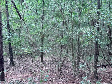 204 Ella Point, Lumberton, MS 39455 - photo 5