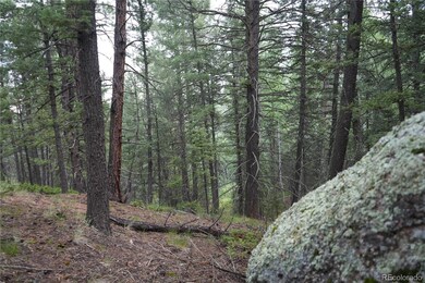 28 Feldspar Rd, Florissant, CO 80816 - photo 6