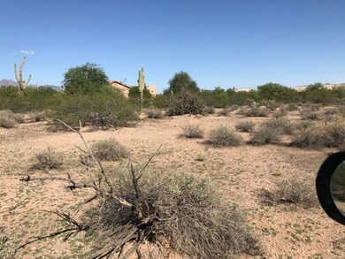 10516 E Dennis St unit 1058, Mesa, AZ 85207 - photo 4