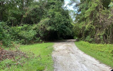 2485 Chapple Ln, Lake City, FL 32055 - photo 3