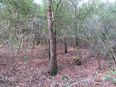 View of area way in the back where the deer hang o