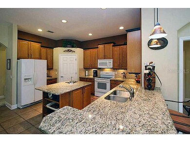 9844 Osprey Landing Dr, Orlando, FL 32832 - photo 5