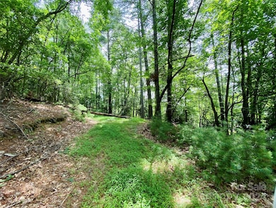 400 Emerald Hills Dr, Pisgah Forest, NC 28768 - photo 4