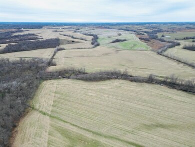 Marble Rd, Harris, MO 63556 - photo 5