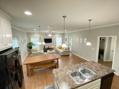 Living Area - view from the kitchen