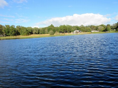 7182 Cr 315c, Keystone Heights, FL 32656 - photo 5