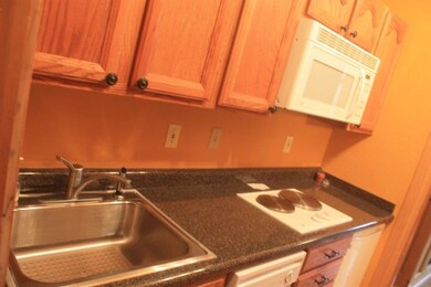 223 W Hunter Ridge Dr unit E304, Brian Head, UT 84719 - photo 5