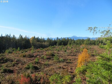 0 Wayne Rd W unit 4 & 5 19216783, Seabeck, WA 98380 - photo 3