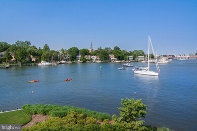 203 Lockwood Ct, Annapolis, MD 21403 - photo 6