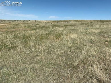 Good grazing for the livestock
