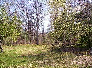 1978 12 Mile Rd, Bitely, MI 49309 - photo 5