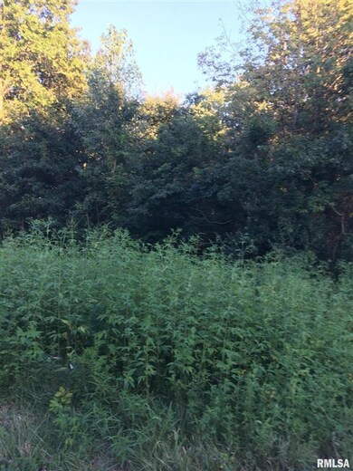 00 Lazy Acre Rd, Salem, IL 62881 - photo 3