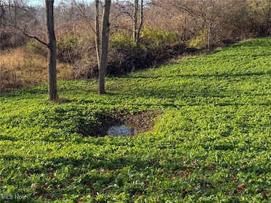 0 Homestead Dr unit 5174212, New Concord, OH 43762 - photo 4