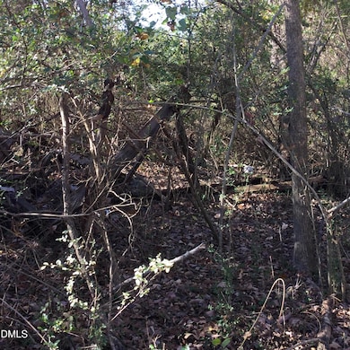 000 Gant Rd, Graham, NC 27253 - photo 5