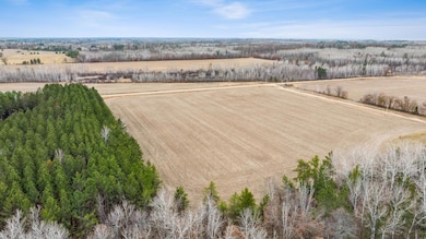 Parcel northwest Haycreek Rd SW, Wilson Township, MN 56474 - photo 7