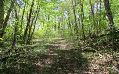 Additional View
