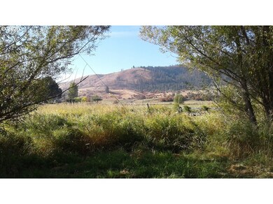 120 Granite St, Halfway, OR 97834 - photo 5