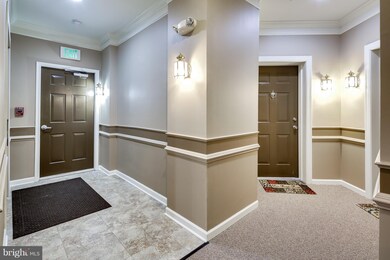 7210 Darby Downs unit P, Elkridge, MD 21075 - photo 3