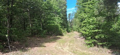 View of woods