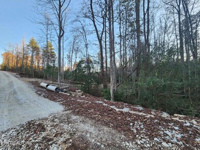 Copperhead Rd pic 9