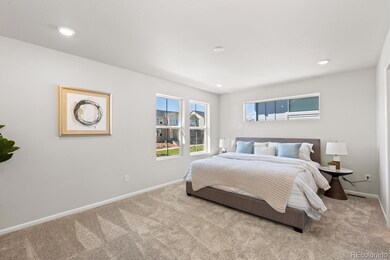 8785 Whiteclover St, Littleton, CO 80125 - photo 7