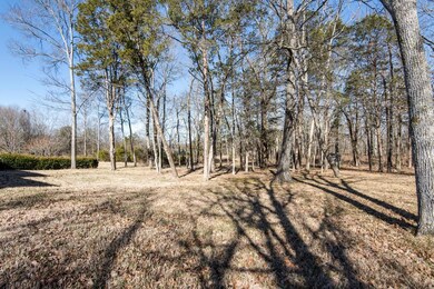 Look at this Beautiful private backyard.