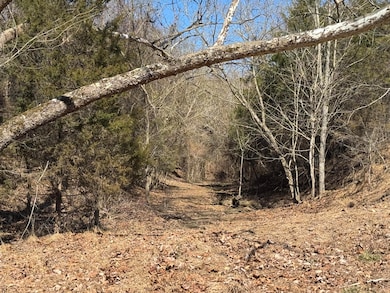 0 Whitehorn Rd unit 709692, Bulls Gap, TN 37711 - photo 6