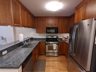 2 Saint Paul St unit 309, Brookline, MA 02446 - photo 6