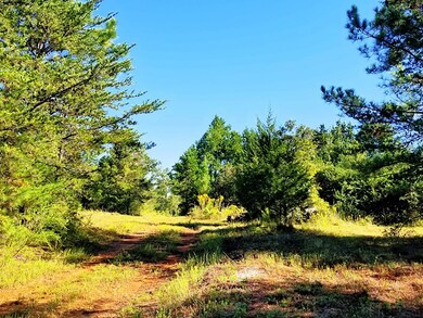 20.62 AC Stoney Cross Rd, Chase City, VA 23924 - photo 2