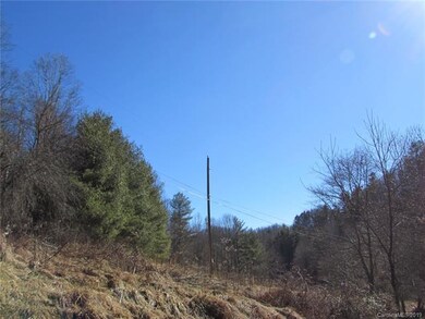 00 Willow Creek Rd, Burnsville, NC 28714 - photo 4