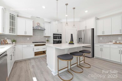 2046 Gallinule Dr, Indian Trail, NC 28079 - photo 4