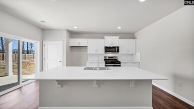 484 Leathertree Ln, Blythewood, SC 29016 - photo 4