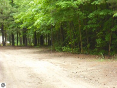 Parcel F3A Jackson Creek Rd, Kingsley, MI 49649 - photo 6