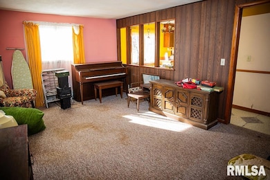 7319 Malone Rd, Alma, IL 62807 - photo 3