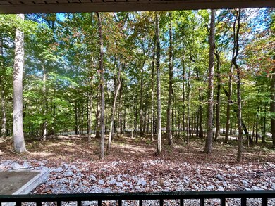 938 Haynes Knob Rd, Somerset, KY 42501 - photo 5