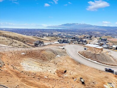 Bird's eye view of a mountain backdrop
