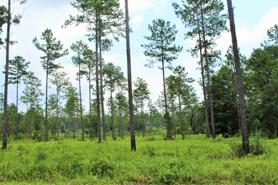 9ac Homestead, Lucedale, MS 39452 - photo 4