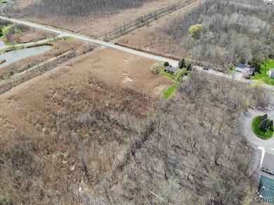 0 Bowman Rd unit S1602358, Manlius, NY 13104 - photo 4