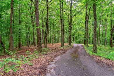 5030 Chinkapin Ln, Franklin, TN 37069 - photo 2