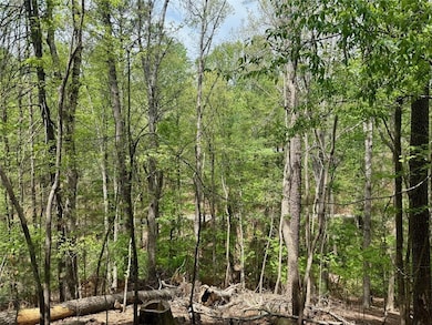 142 33rd St, Ellijay, GA 30540 - photo 6