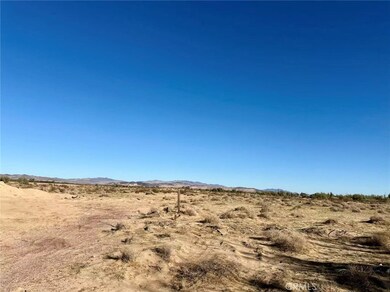 32467 Lakeview Ave, Newberry Springs, CA 92365 - photo 5