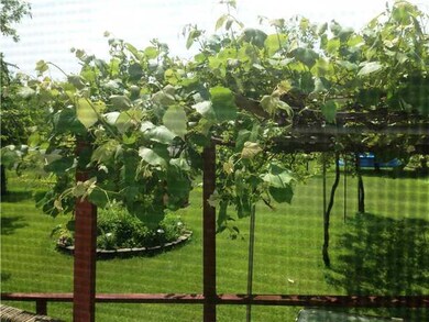 View View out kitchen window