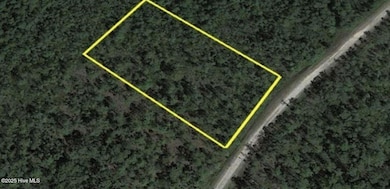 931 Mallard, Southport, NC 28461 - photo 4