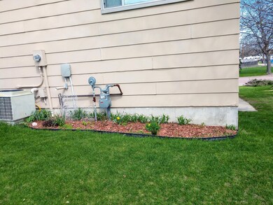 Flower bed in backyard
