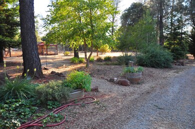 From driveway towards Chicken House