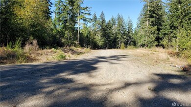 0 E Wild Grape Way unit 1665986, Grapeview, WA 98546 - photo 4