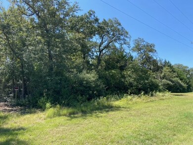 000 Sawmill Rd, Franklin, TX 77856 - photo 6