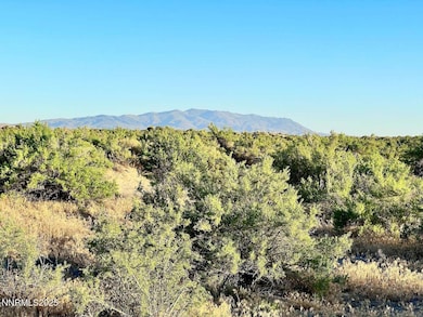 10 Valhalla Rd, Winnemucca, NV 89445 - photo 5